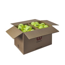 Wilson Tennis Balls Triniti Club Training (pressureless) 72 in a box